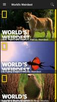3 Schermata National Geographic Documentaries