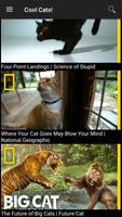 National Geographic ภาพหน้าจอ 2