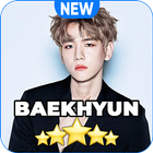 EXO Baekhyun Wallpaper KPOP HD Best icône