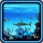 Sharks Predator live wallpaper 图标