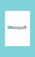 Natejsoft Smart Approvals Plakat