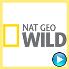 Nat Geo Wild: Video Clips icon