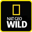 Nat Geo : Best Documentaries APK