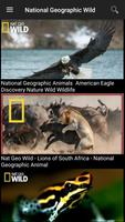 National Geographic 截圖 1