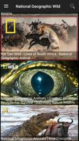 National Geographic : Documentaries Tube Affiche