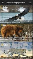 National Geographic : Documentaries Tube স্ক্রিনশট 2