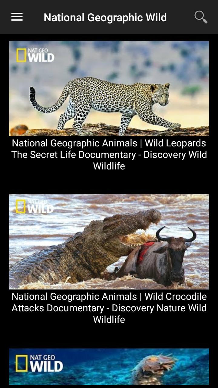 national geographic videos download national geographic videos download