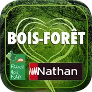 Bois Forêt