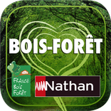 Bois Forêt