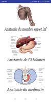 Anatomie du Membre supérieur et inférieur الملصق