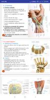 Anatomie du Membre supérieur et inférieur تصوير الشاشة 1