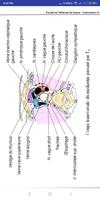 Anatomie du Corps syot layar 2