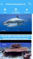 National Geographic Wild スクリーンショット 1