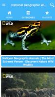 National Geographic Wild スクリーンショット 2