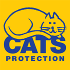 Cat Watch icon