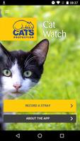Cat Watch poster