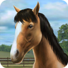 My Horse icon