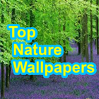 Top Nature Wallpaper icône