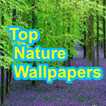 Top Nature Wallpaper