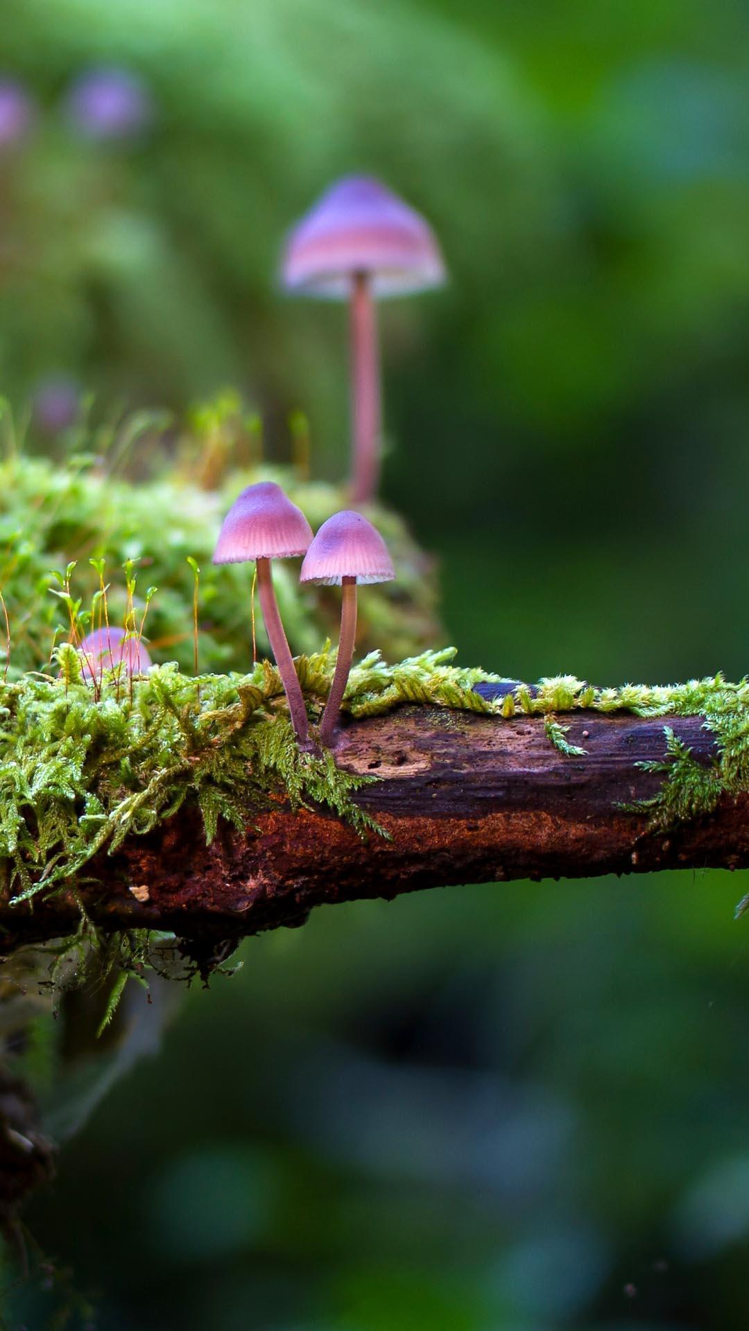 Pin On Best Hd Wallpapers