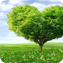 Nature Wallpaper APK