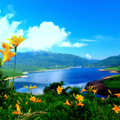 Nature Wallpapers HD