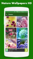 Nature Wallpapers HD تصوير الشاشة 3