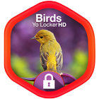 Birds Yo Locker HD ไอคอน