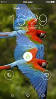 Birds Yo Locker HD ภาพหน้าจอ 2