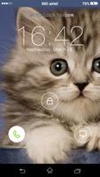 Cat Yo Locker HD imagem de tela 2