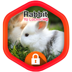 Rabbit Yo Locker HD icône