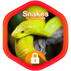 Snakes Yo Locker HD ikon