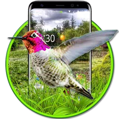 Live 3D HummingBird Theme APK download