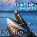 Blue Whale Animal Wallpaper APK