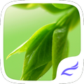 Natural Dew drop