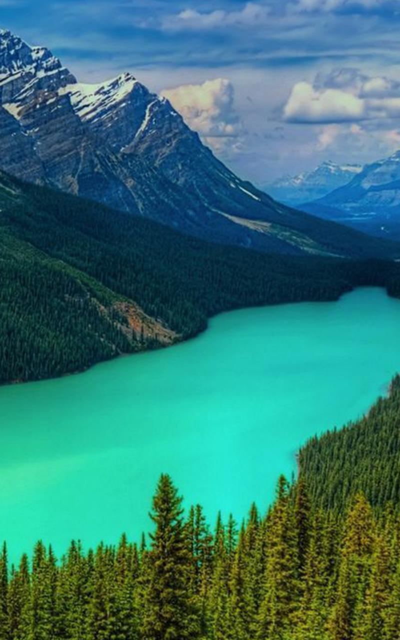 Nature Lock screen Wallpaper for Android - APK Download
