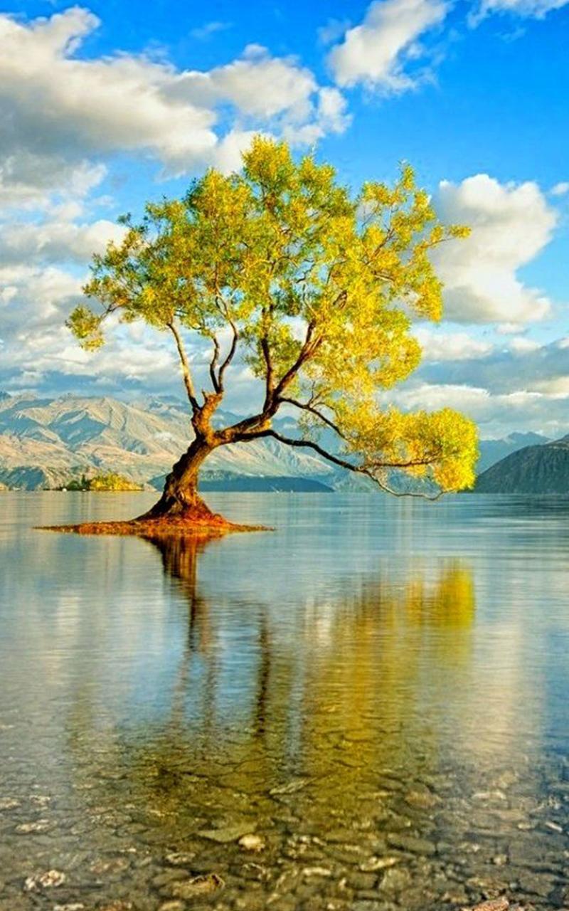 Nature Lock screen Wallpaper for Android - APK Download