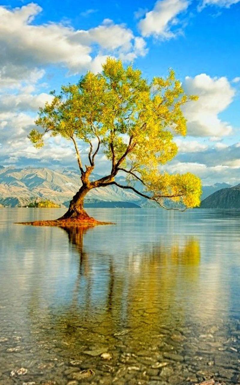 Nature Lock screen Wallpaper APK Download