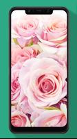 Rose Wallpaper, Floral, Flower Background HD पोस्टर