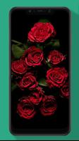 Rose Wallpaper, Floral, Flower Background HD স্ক্রিনশট 1