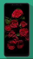Rose Wallpaper, Floral, Flower Background HD स्क्रीनशॉट 1