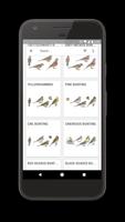 1 Schermata Collins Bird Guide