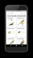 3 Schermata Collins Bird Guide