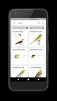 Collins Bird Guide скриншот 3