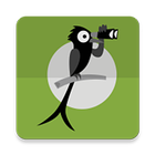 Bird Explorer India Zeichen