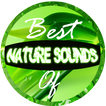 Nature Sounds