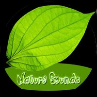 Nature Sounds-poster