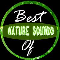 Nature Sounds captura de pantalla 1