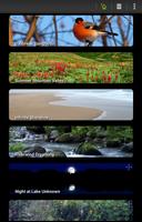 Naturespace: Sleep Relax Focus 截图 2