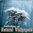 Nature Wallpaper APK